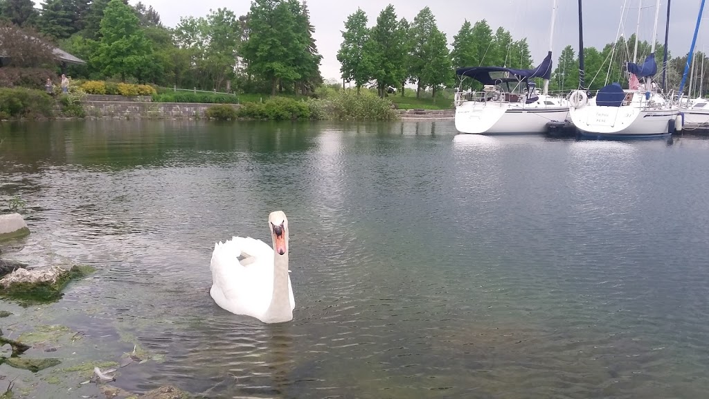 port credit marine surveys | 115 Lakefront Promenade, Mississauga, ON L5E 3G6, Canada | Phone: (416) 526-3845