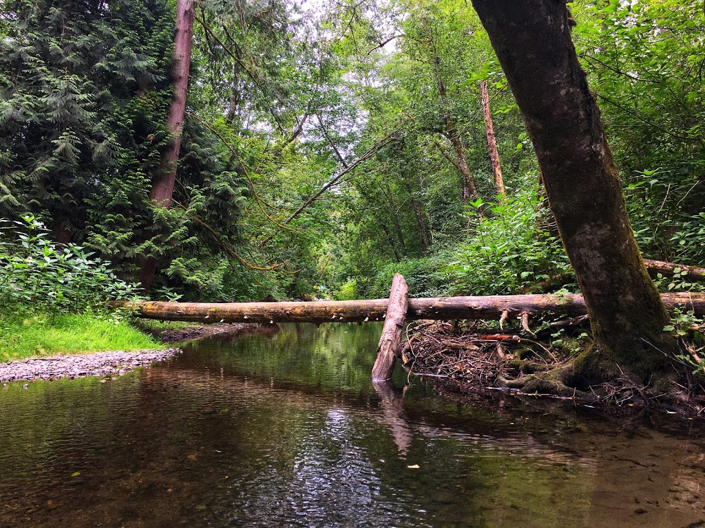 Birch Grove Hatchery Trail | Birch Grove Hatchery Trail, Surrey, BC V4N 2E2, Canada