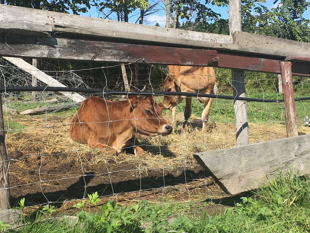 La Ferme Potagère | 1523 Chem. Ayers Cliff, Magog, QC J1X 7Z9, Canada | Phone: (819) 843-2884