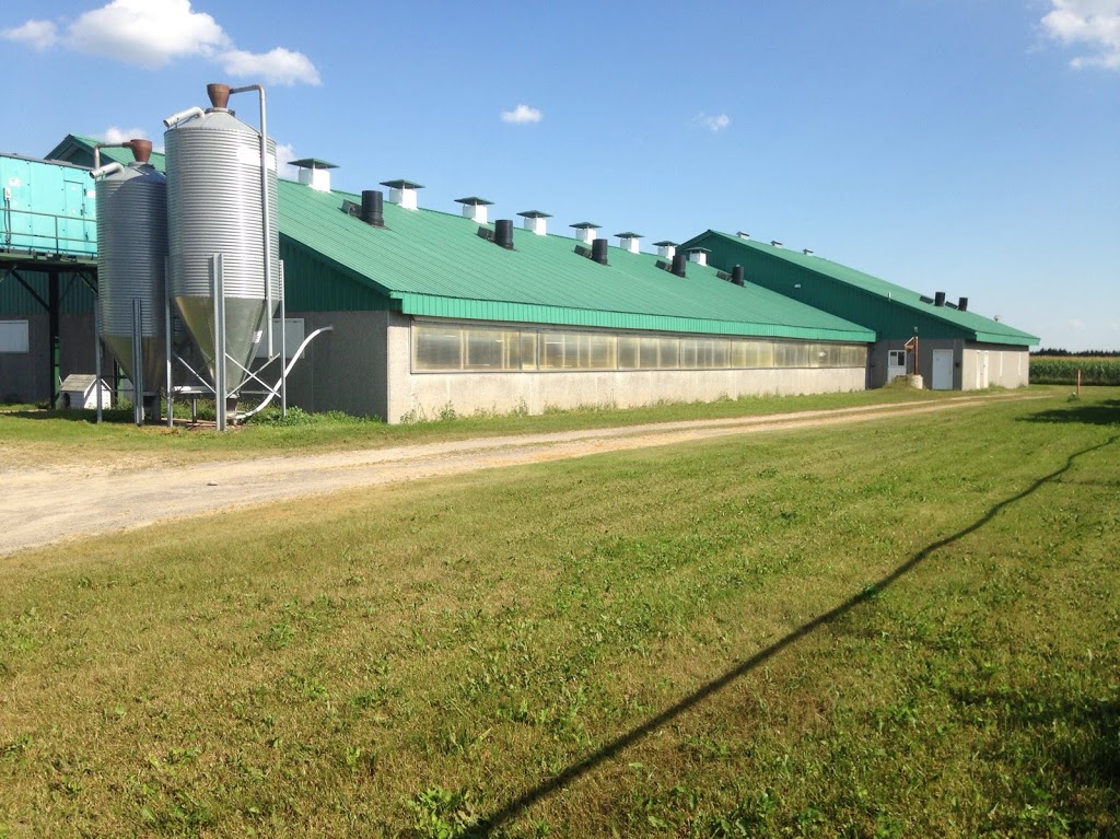 Ferme Triporc Inc | 3250 Rang du Haut de la Rivière, Sainte-Élisabeth, QC J0K 2J0, Canada | Phone: (450) 756-5068