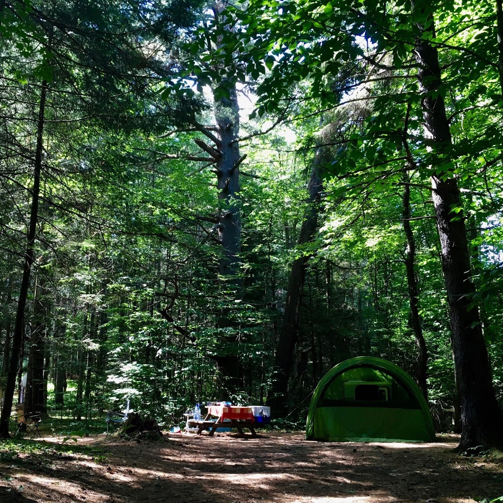 Camping Havre Des Iles Inc | 10 Chemin du Mimosa, Mansonville, QC J0E 1X0, Canada | Phone: (450) 292-5578