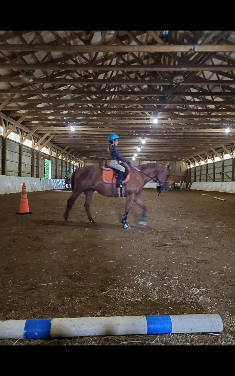 Twisted Willow Equestrian Center | 1255 Dingman Dr, London, ON N6N 1G6, Canada | Phone: (519) 852-8645