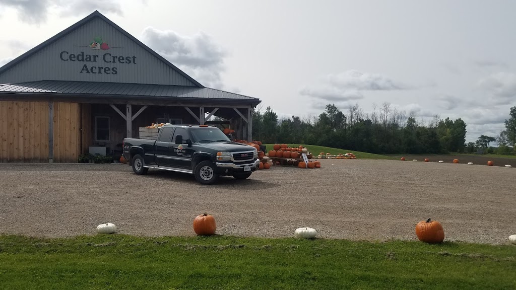 Cedar Crest Acres Inc | 5321 Perth County Rd 119, Gads Hill, ON N0K 1J0, Canada | Phone: (519) 595-3203