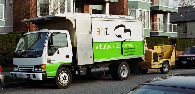 Arbutus Tree Service | 7520 Balaclava St, Vancouver, BC V6N 0A3, Canada | Phone: (604) 737-2643