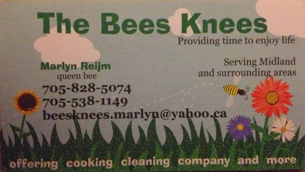 The Bees Knees | 237 Forest Harbour Pkwy, Waubaushene, ON L0K 2C0, Canada | Phone: (705) 828-5074