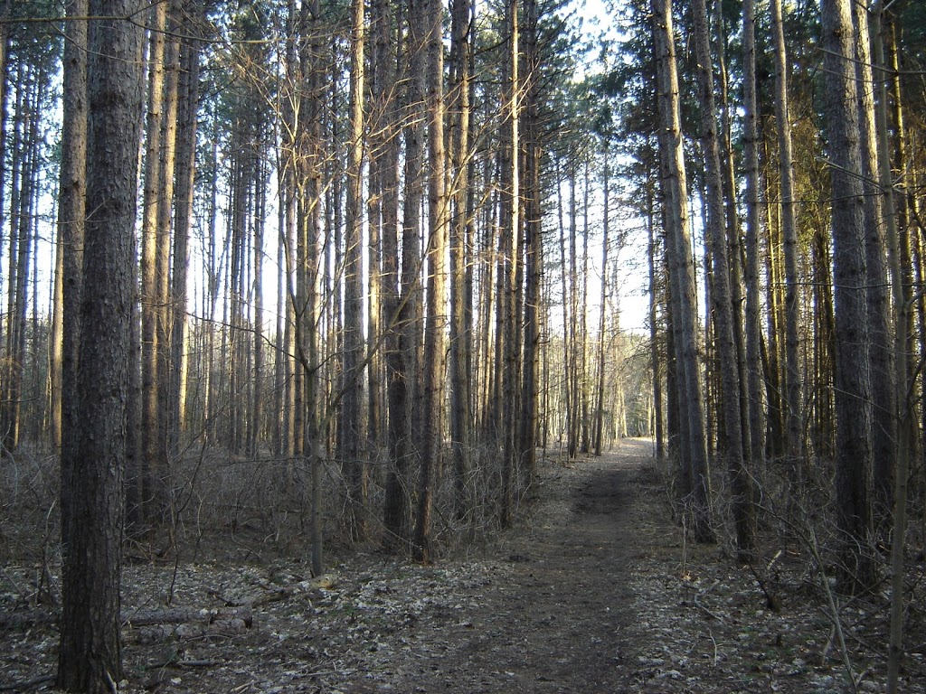 Little Tract Hiking Trail | 6710 Wellington County Rd 34, Cambridge, ON N3C 2V4, Canada | Phone: (519) 837-2600