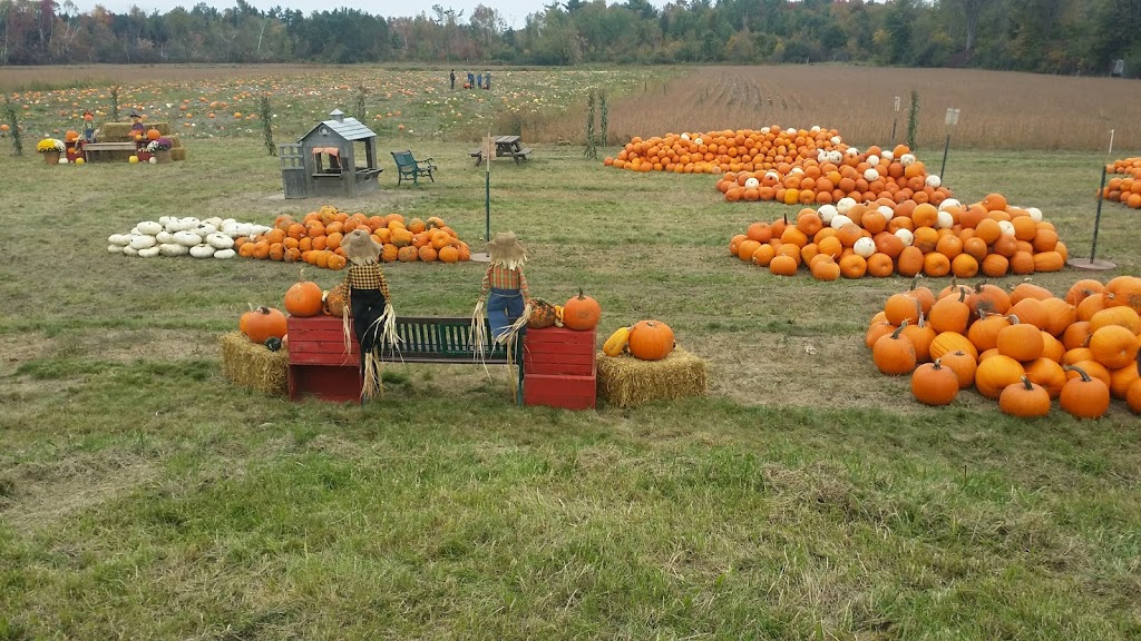 Foster Family Farm - Cedarview Road Farm Stand | 333 Cedarview Rd, Nepean, ON K2H 7Y8, Canada | Phone: (613) 851-3903