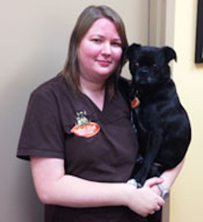 Holland Street Veterinary Services | 444 Holland St W, Bradford, ON L3Z 0G1, Canada | Phone: (905) 775-4787