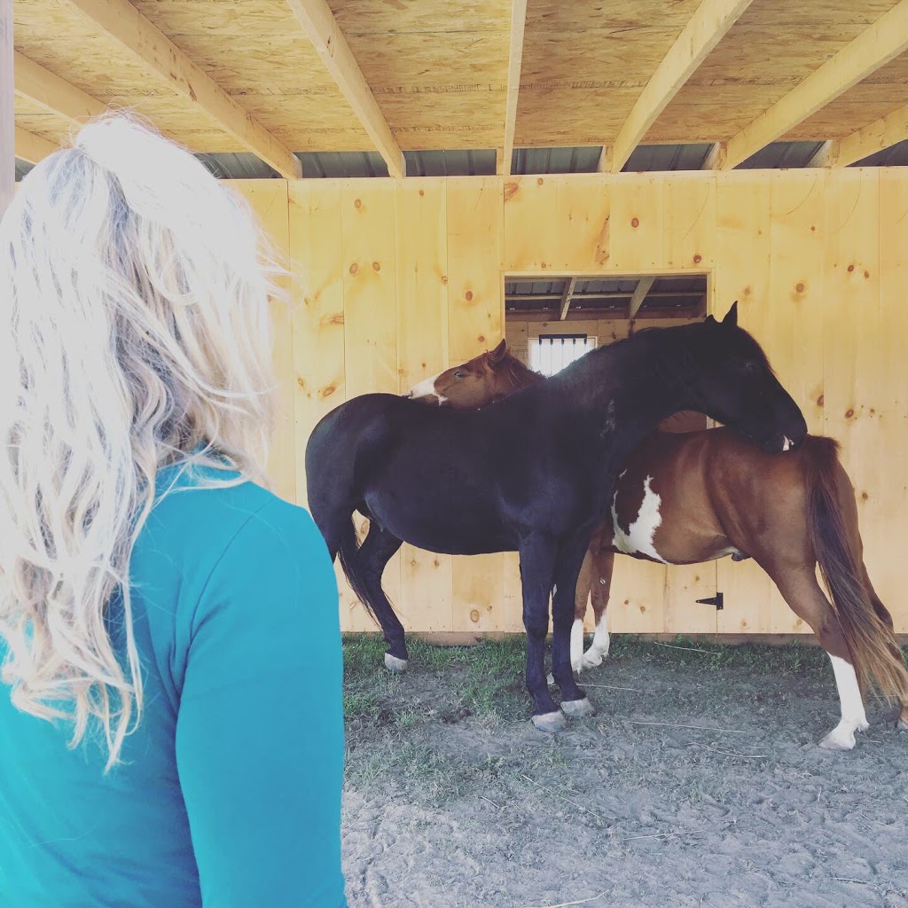 Horse Wisdom Yoga | 2601 Concession 5 Rd, Loretto, ON L0G 1L0, Canada | Phone: (905) 729-3956