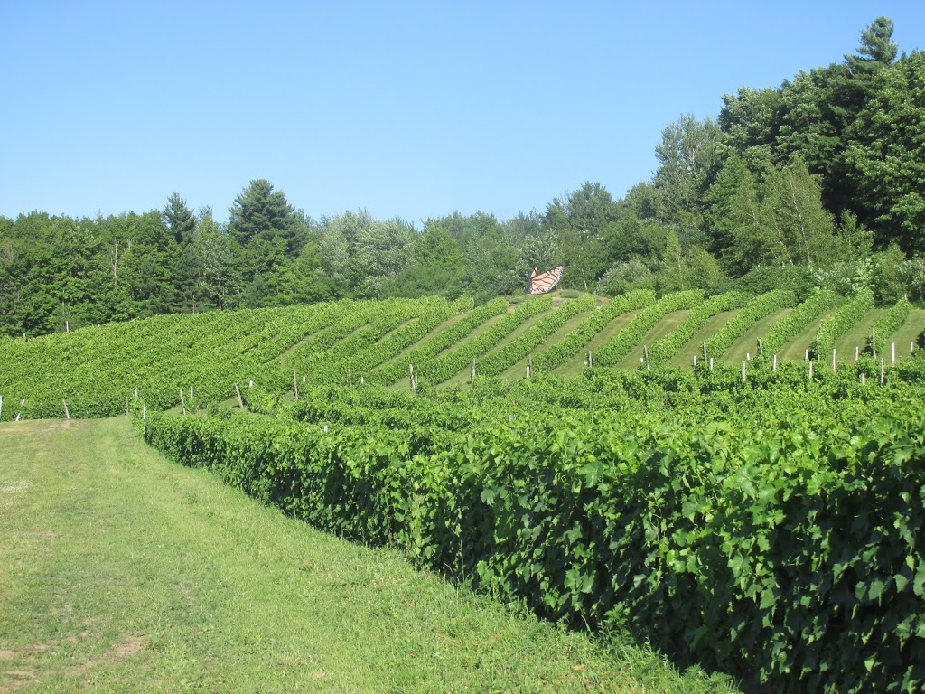 Domaine des Cotes dArdoise | 879 Rue Bruce, Dunham, QC J0E 1M0, Canada | Phone: (450) 295-2020