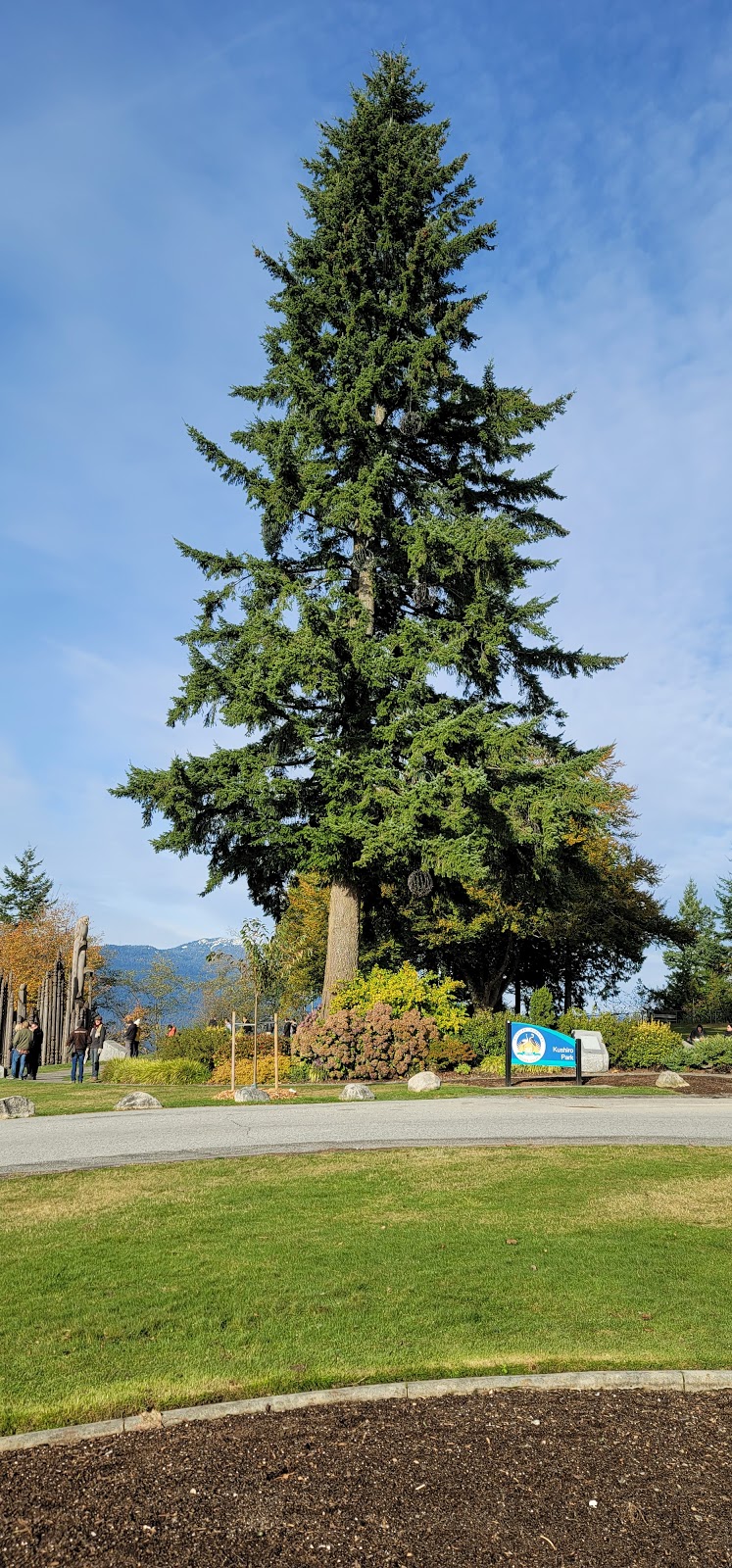 Kushiro Park Flag Pole | Burnaby Mountain Park, 100 Centennial Way, Burnaby, BC V5A 2X9, Canada | Phone: (604) 294-7206