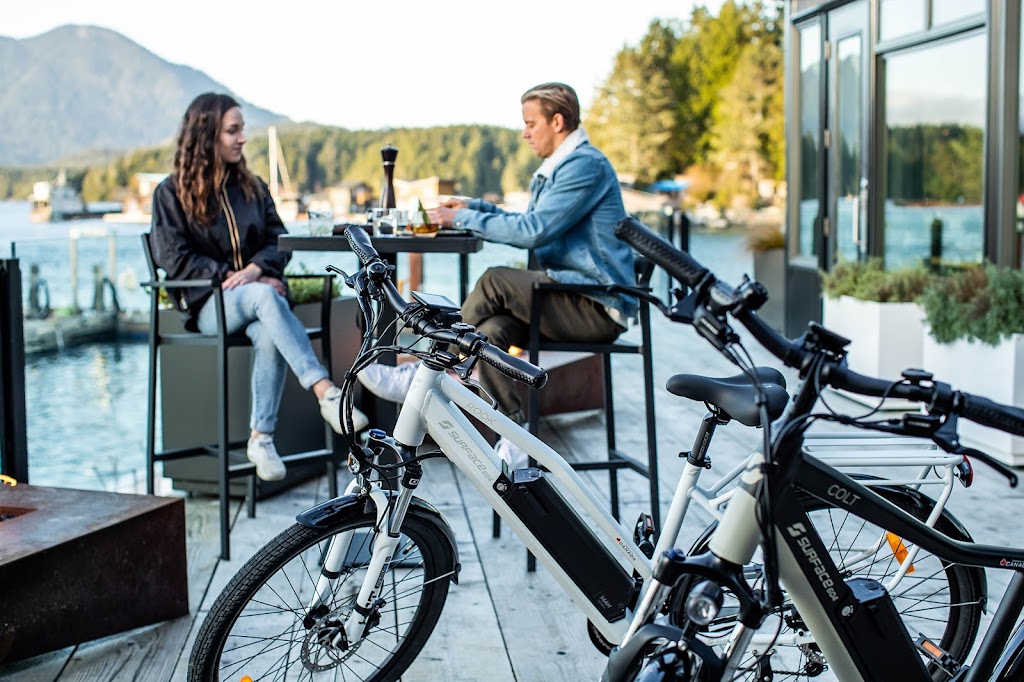 Ebikes Calgary | 11127 15 St NE, Calgary, AB T3K 2M4, Canada | Phone: (888) 400-7221