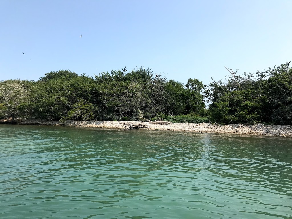 East Sister Island Provincial Park | Pelee Island, ON N0R 1M0, Canada | Phone: (519) 825-4659