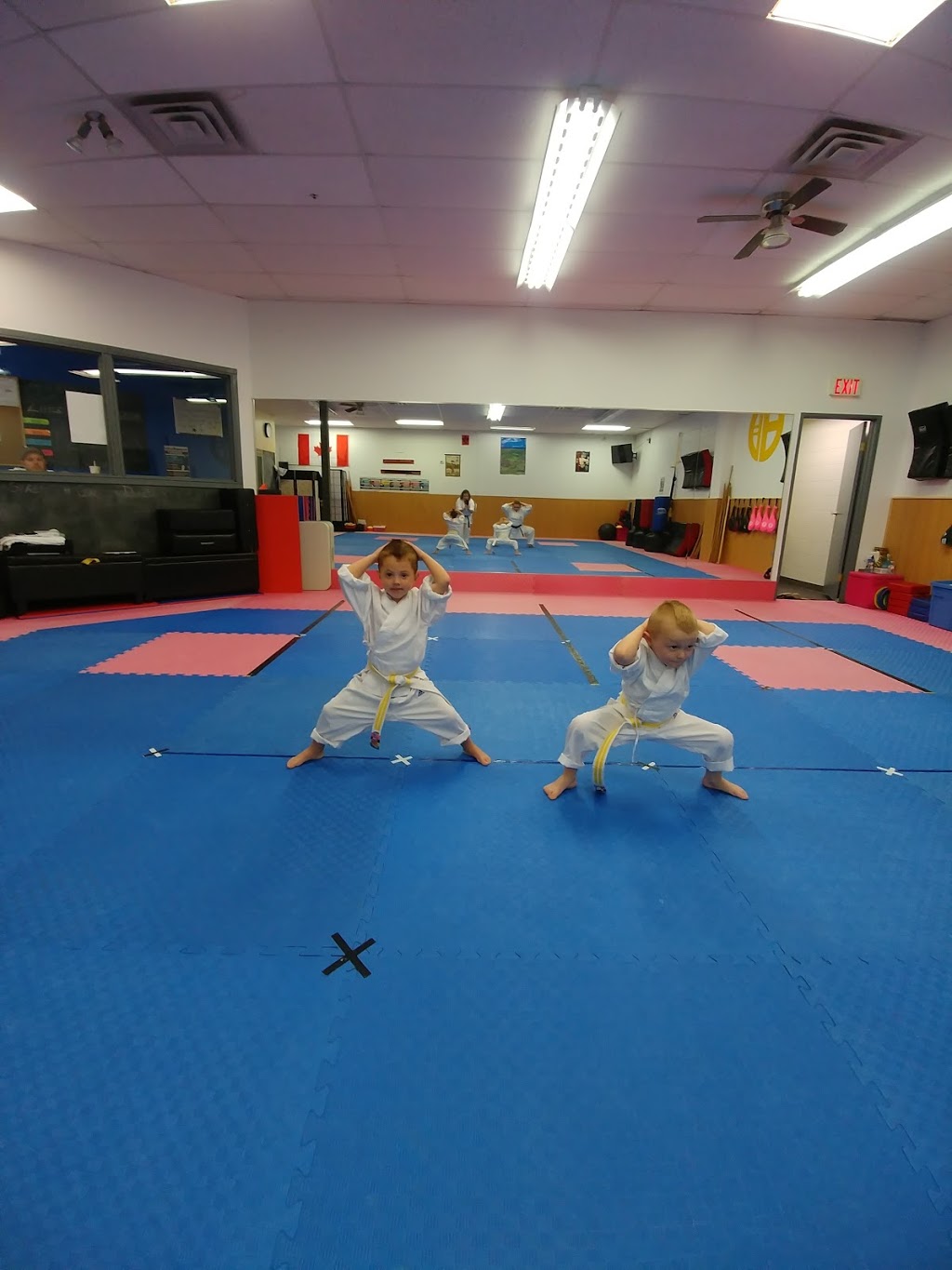 Maple Ridge Karate | 20306 Dewdney Trunk Rd Unit 5, Maple Ridge, BC V2X 6E3, Canada | Phone: (778) 240-0503