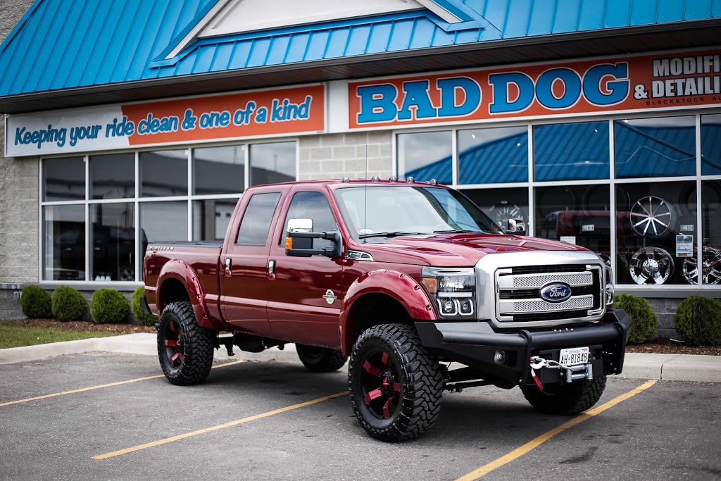 Bad Dog Modifications and Detailing Centre | 670 Riddell Rd, Orangeville, ON L9W 5G5, Canada | Phone: (519) 941-1364