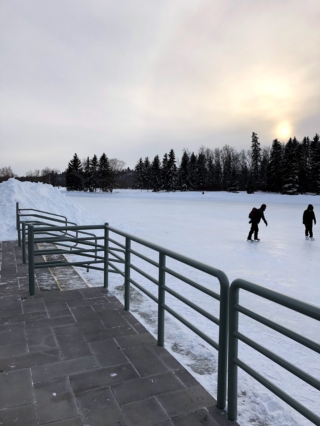 Silver Skate Festival Society | 10212 112 St NW, Edmonton, AB T5K 1M4, Canada | Phone: (780) 488-1960