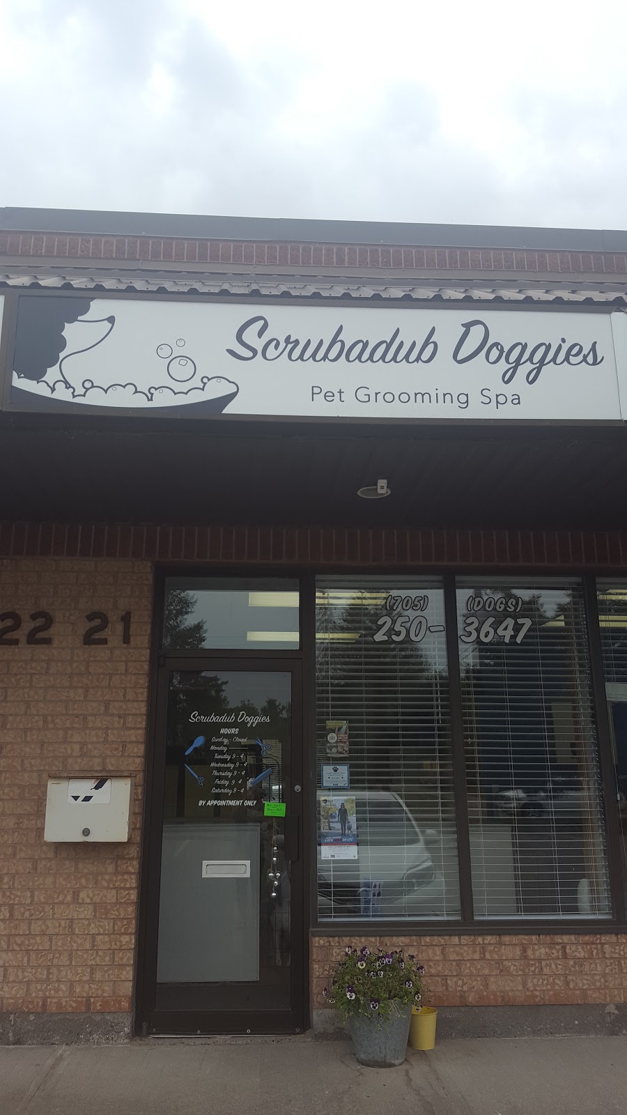 Scrubadub Doggies | Alliston Herald, 169 Dufferin St S #21, Alliston, ON L9R 1E6, Canada | Phone: (705) 250-3647