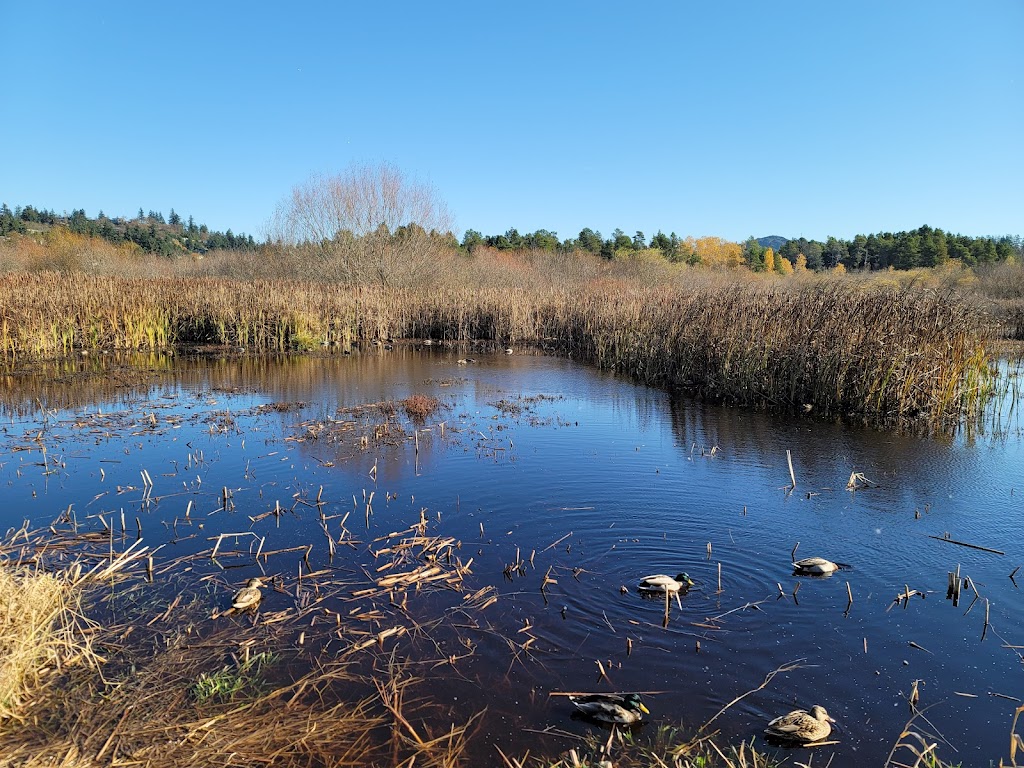 Rithet’s Bog Conservation Society | 4461 Chatterton Way, Victoria, BC V8X 5H7, Canada | Phone: (250) 479-0491