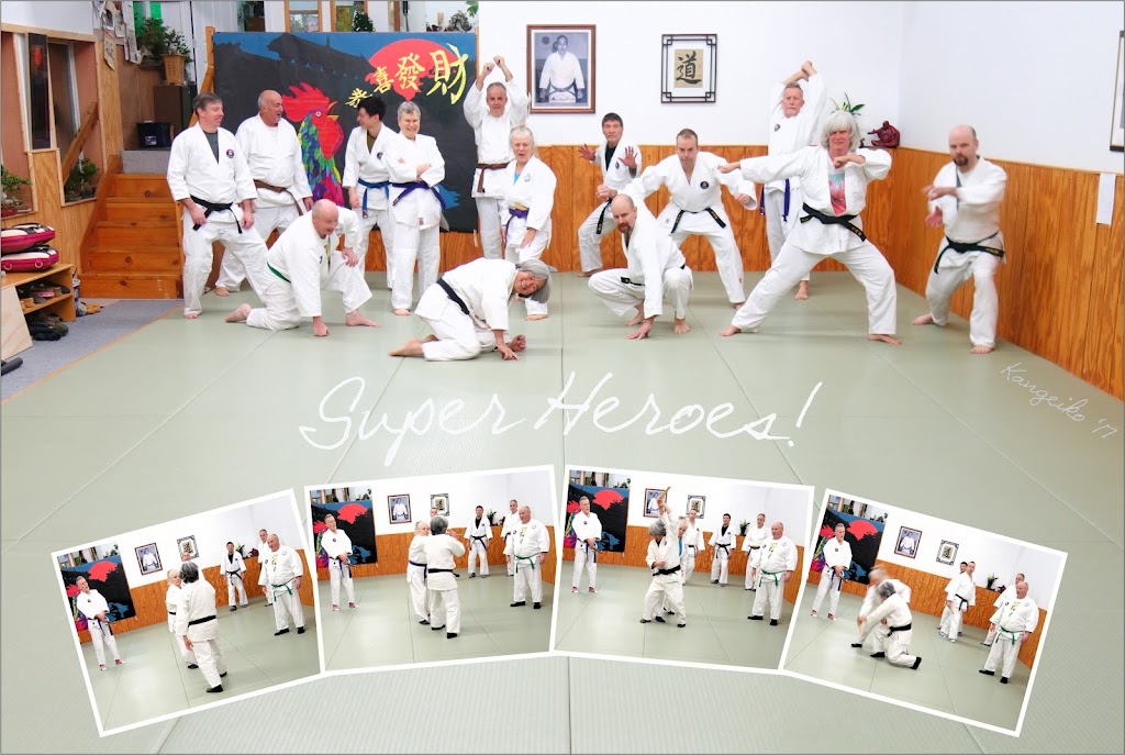 Aikido Jiseikan Ottawa | 716 Industrial Ave, Ottawa, ON K1G 0Y9, Canada | Phone: (613) 738-7338