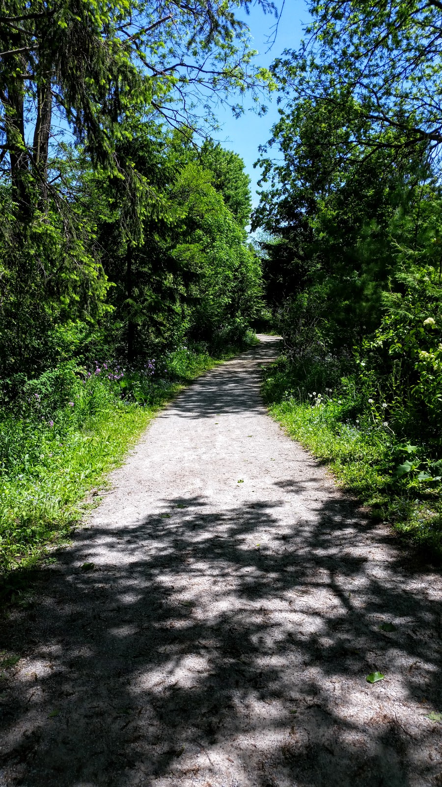 Parker Park | E Humber Trail, Richmond Hill, ON L4E 2X6, Canada | Phone: (905) 771-8800
