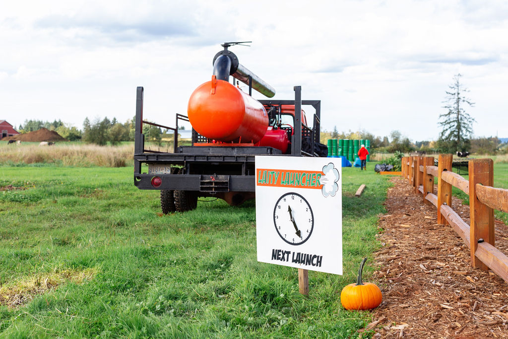 Laity Pumpkin Patch - South | 12725 Laity St, Maple Ridge, BC V4R 2P2, Canada | Phone: (604) 380-1615