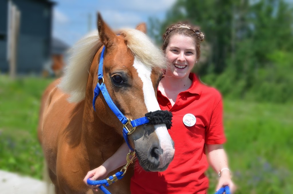 Party Poney | 7 1e Rang, Roxton Pond, QC J0E 1Z0, Canada | Phone: (450) 531-3127