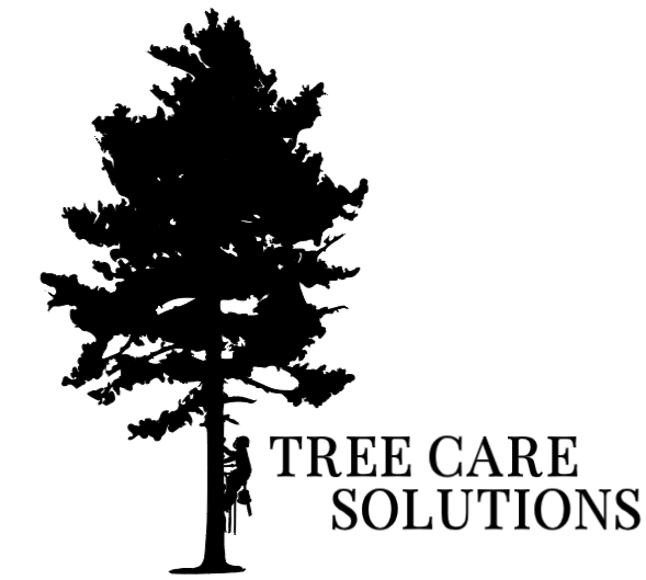 Tree Care Solutions | 1008 Soho Ln, Carnarvon, ON K0M 1J2, Canada | Phone: (705) 868-2204