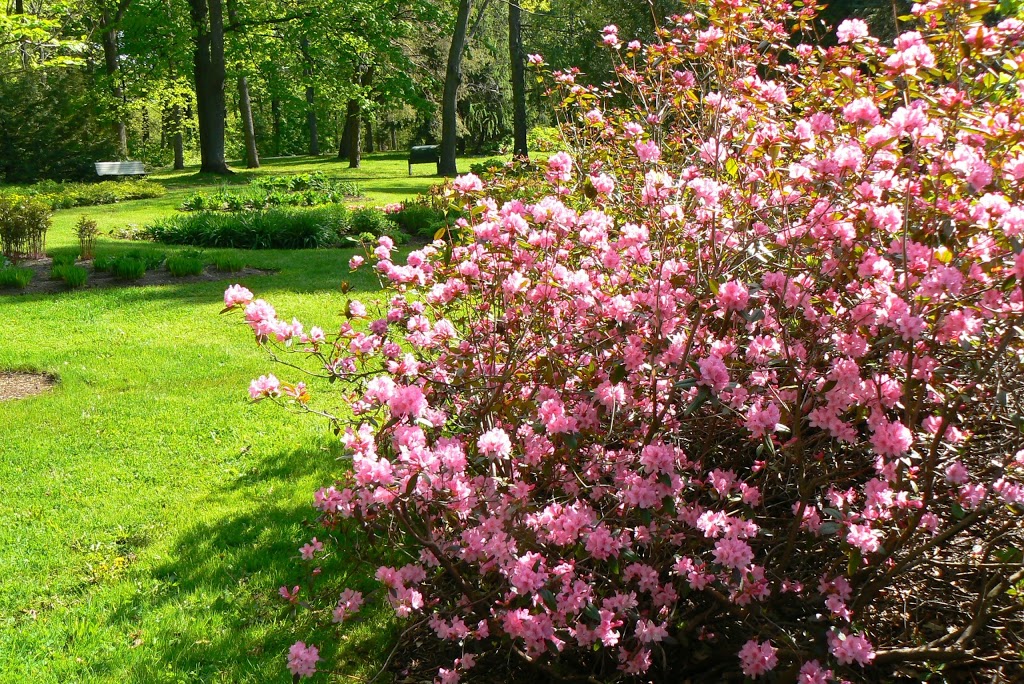 Parc du Bois-de-Coulonge | 1215 Grande Allée O, Québec, QC G1S 1E7, Canada | Phone: (418) 528-0773