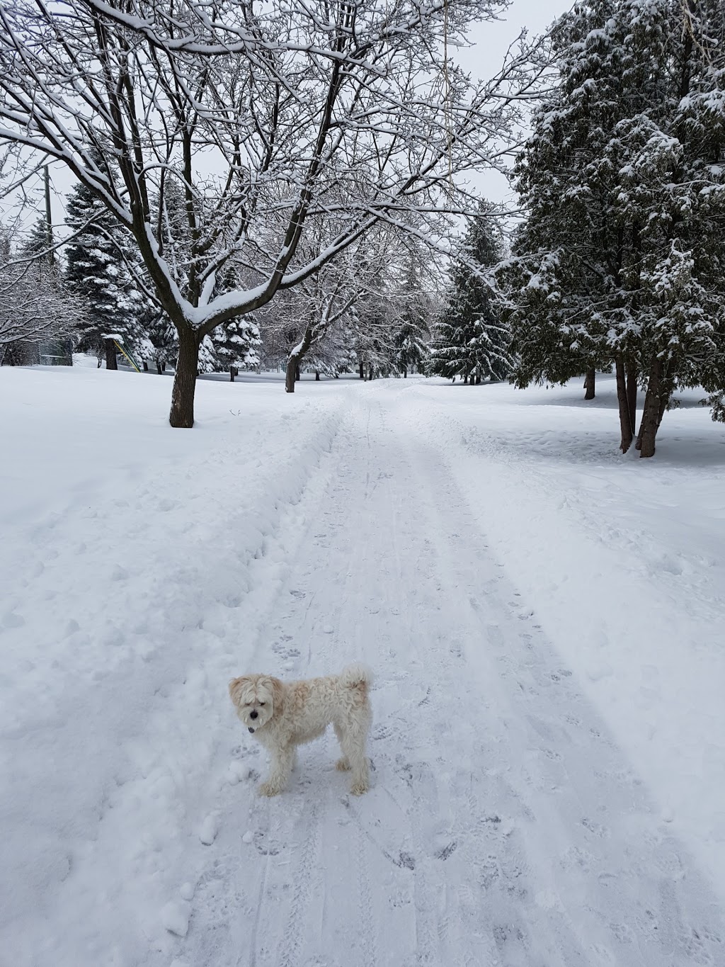 Champfleury Park | 2585 Boulevard des Oiseaux, Laval, QC H7L 4M4, Canada | Phone: (450) 963-0676