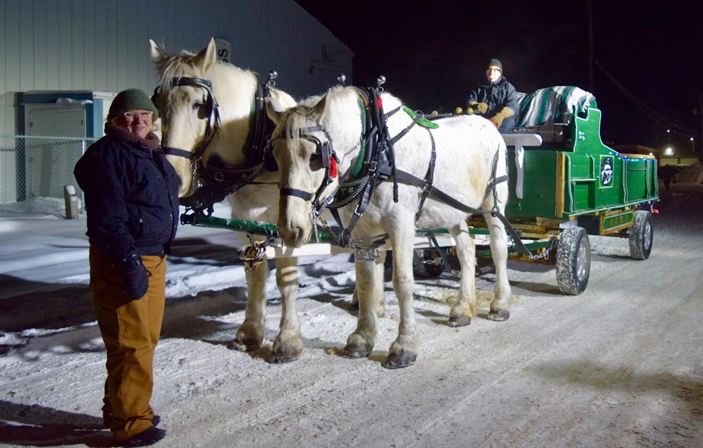 Iron Horse Turtle Ranch Carriage and Sleigh Service | 51222 RR# 224, Sherwood Park, AB T8C 1H3, Canada | Phone: (780) 718-7734