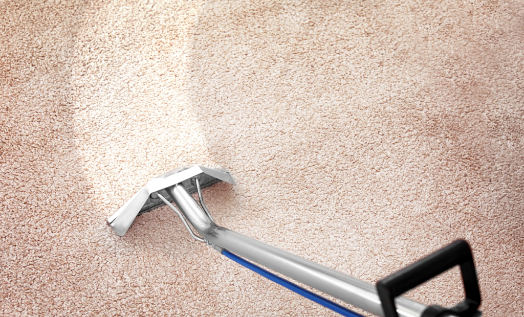 EcoClean Carpet Care | 7059 210 Street, Langley Twp, BC V2Y 0T2, Canada | Phone: (604) 603-4242