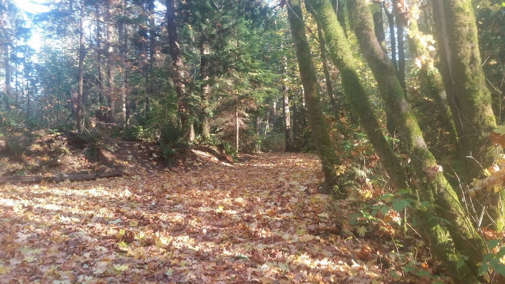 North Vancouver Cemetery | Lillooet Rd, North Vancouver, BC V7J, Canada