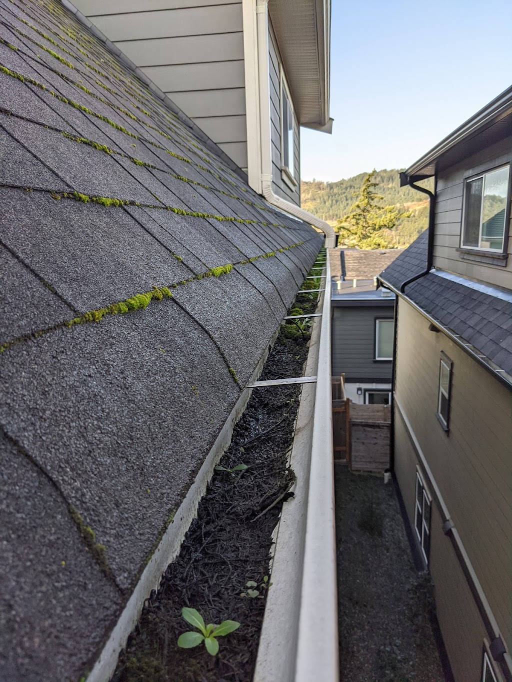 SparkleSmith Window Cleaning | 1060 Goldstream Ave #420, Victoria, BC V9B 1A5, Canada | Phone: (778) 251-6983