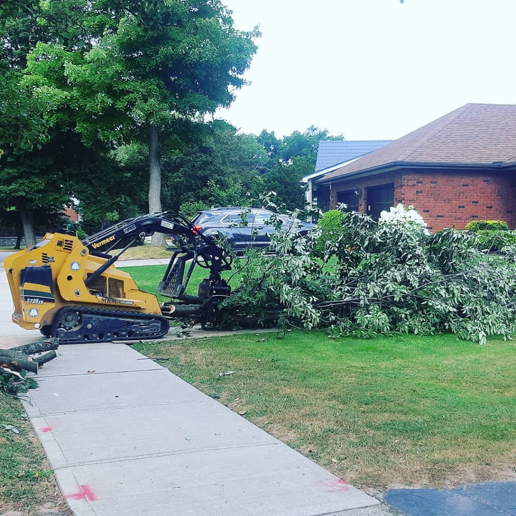 M & M Tree Service | 16 Robroy Ct, Brantford, ON N3R 3E3, Canada | Phone: (519) 752-4887