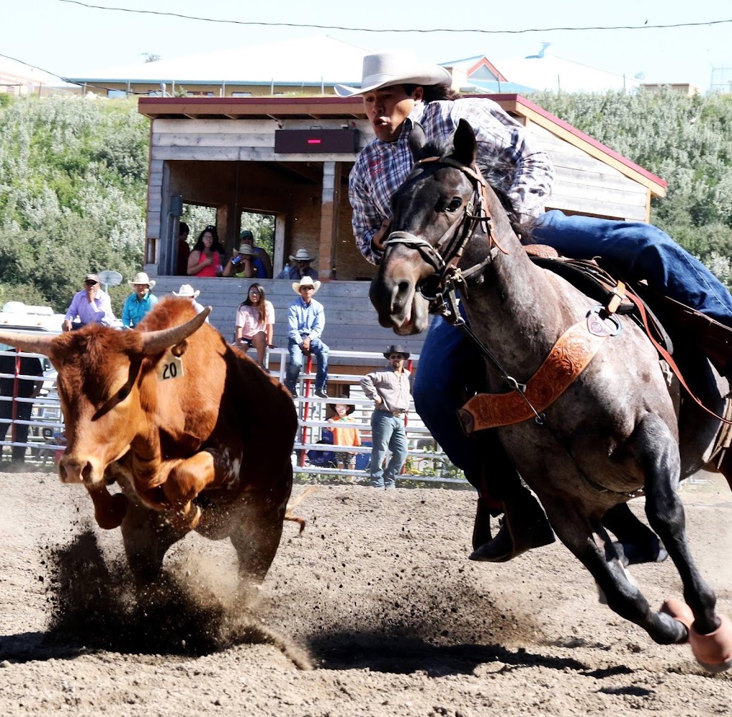 Kainai Memorial Agriplex | Stand Off, AB T0L 1Y0, Canada | Phone: (403) 737-3848