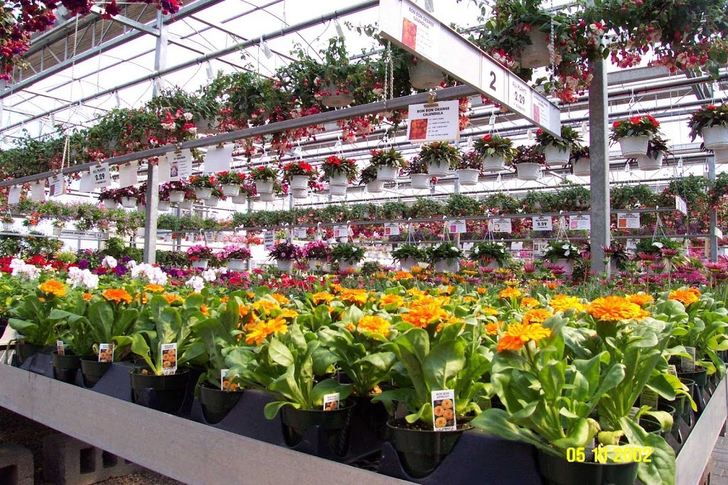 Grobes Nursery and Garden Centre | 1787 Greenhouse Rd, Breslau, ON N0B 1M0, Canada | Phone: (519) 648-2247