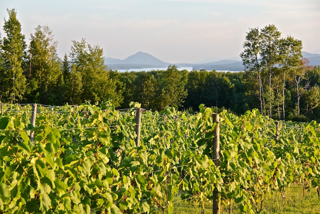 Au Vignoble dOrford | 318 Chem. Bice, Orford, QC J1X 0C1, Canada | Phone: (819) 212-1211