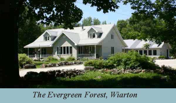 Evergreen Forest | 381135 Concession 17, Georgian Bluffs, ON N0H 2T0, Canada | Phone: (519) 534-9398