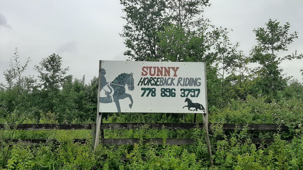 Sunny Riding Stables | 8020 216 St, Langley City, BC V2Y 2C7, Canada | Phone: (778) 896-3797