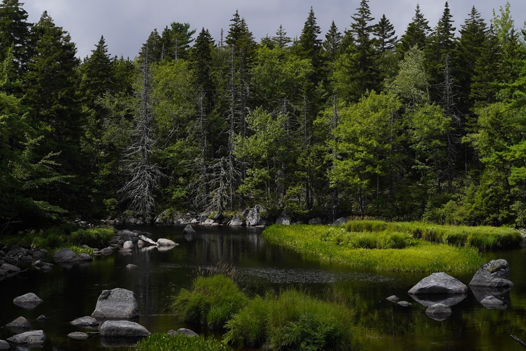 Castle Rock Trail | Aspotogan Trail, Hubbards, NS B0J 1T0, Canada | Phone: (902) 275-3490