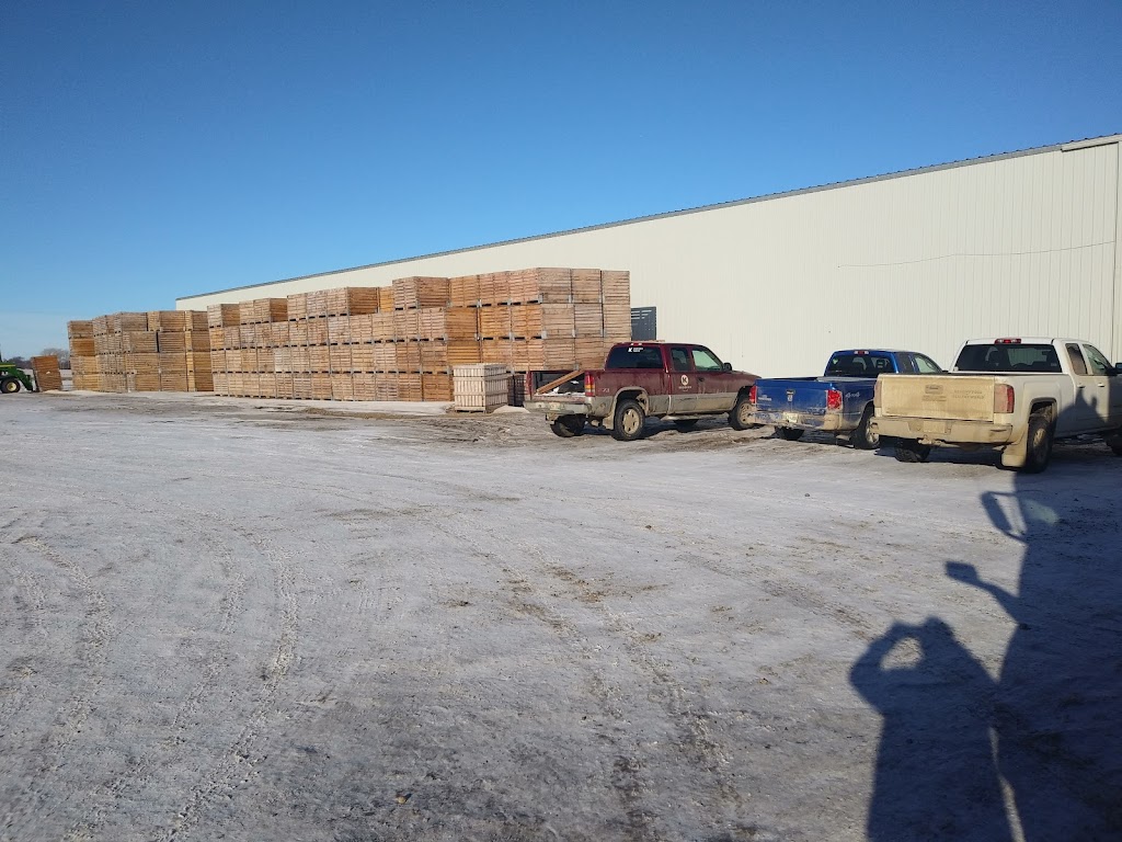 Kroeker Farms | 1 Potato Shed Road Box 131, Riverhurst, SK S0H 3P0, Canada | Phone: (306) 353-2026