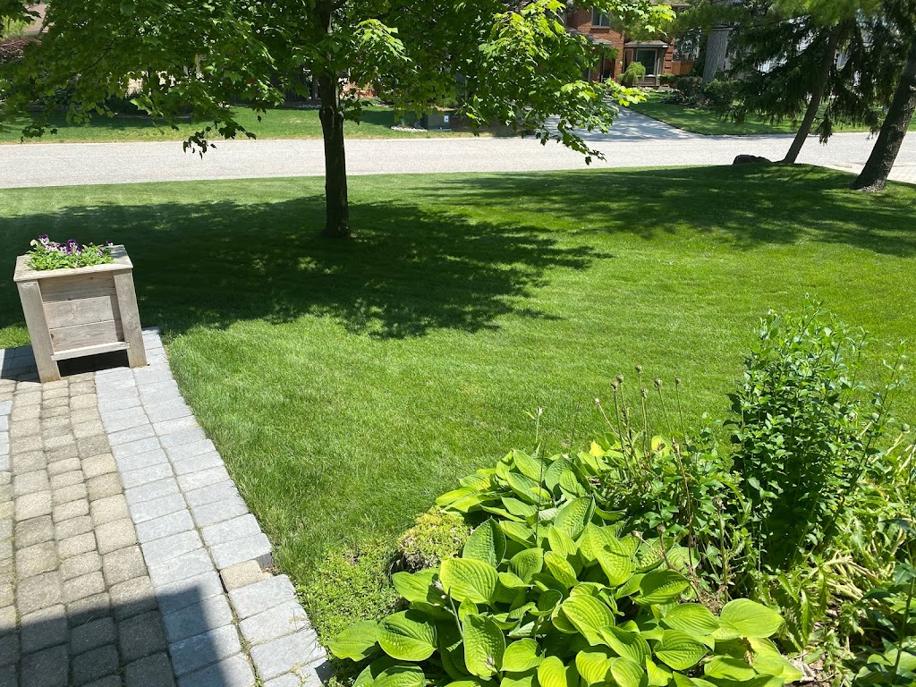 Weed Man Lawn Care | 805 Ontario St S, Sarnia, ON N7T 7T1, Canada | Phone: (519) 336-4221