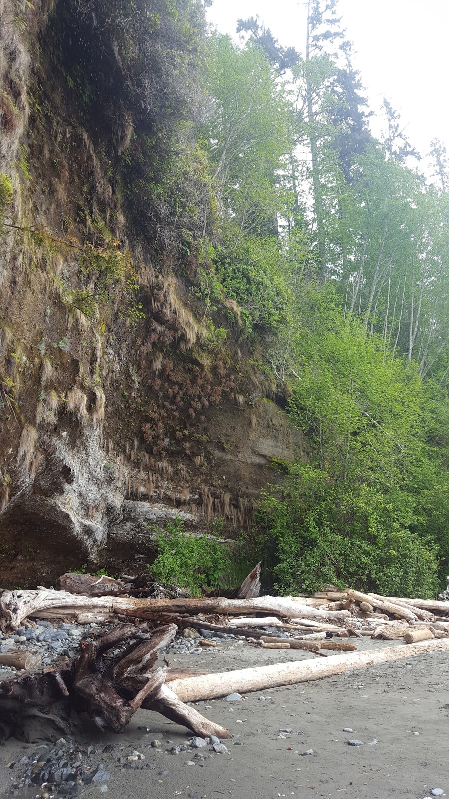 China Beach | China Beach Day Use Trail, Port Renfrew, BC V0S, Canada