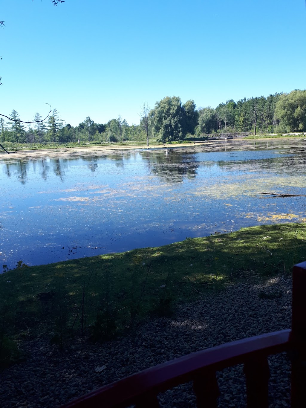 Nature Boy Scenic Railway | Flamborough, Hamilton, ON N1R 5S2, Canada