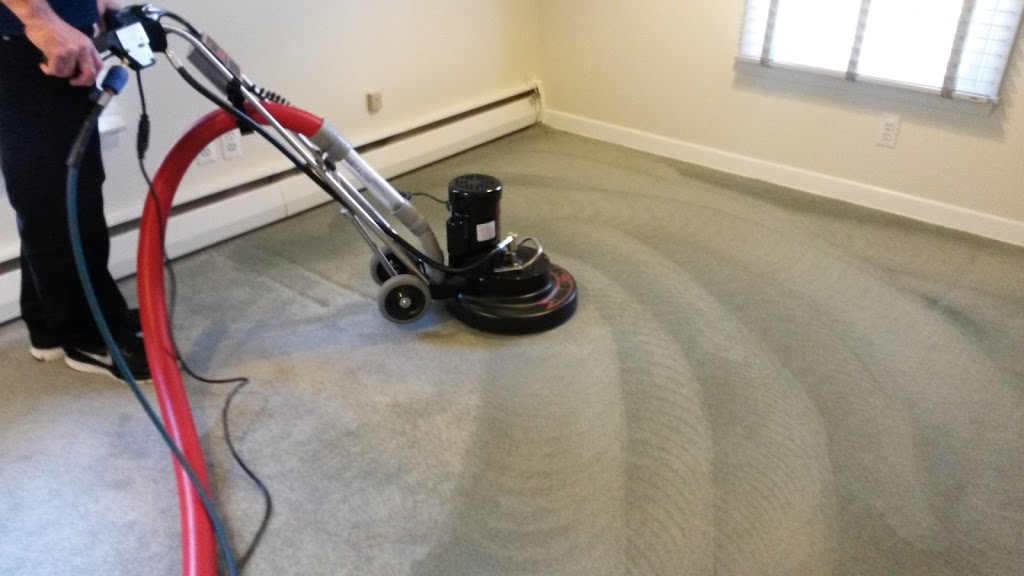 Toronto Carpet Cleaners | 203-1020 Lawrence Ave W, North York, ON M6A 1C3, Canada