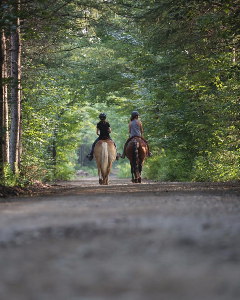 La ferme Pélipa | 1120 Rue Saint-Aimé, Saint-Lambert-de-Lauzon, QC G0S 2W0, Canada | Phone: (581) 888-1452