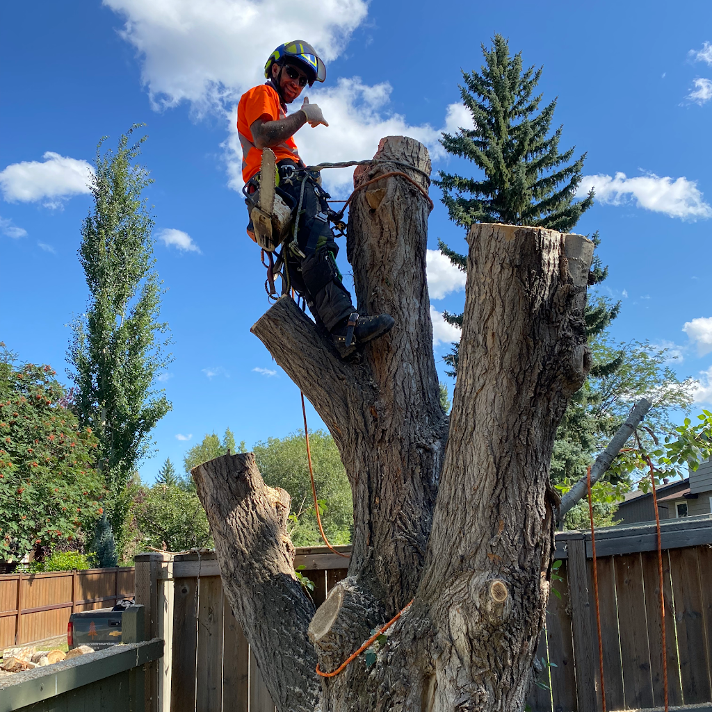 Ascent Tree Services Ltd. | 184 Sundown Rd, Cochrane, AB T4C 2M5, Canada | Phone: (403) 466-8414