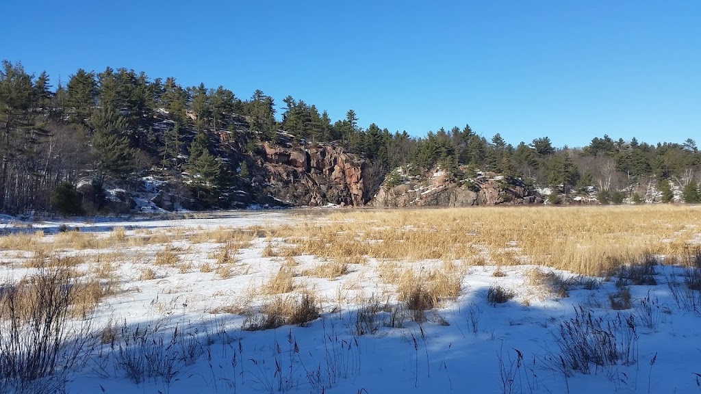 Cranberry Bog Trail | Killarney, ON P0M, Canada | Phone: (705) 287-2900