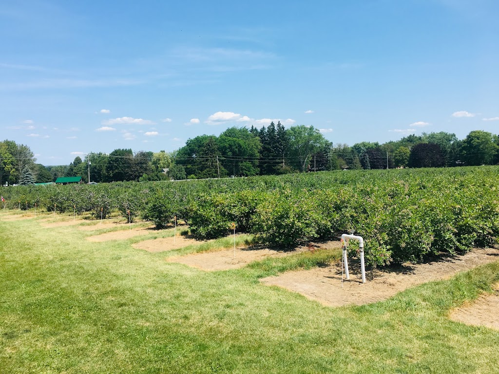 Wilmot Orchards Inc | 3337 Concession Rd 3, Newcastle, ON L1B 0N1, Canada | Phone: (905) 987-5279