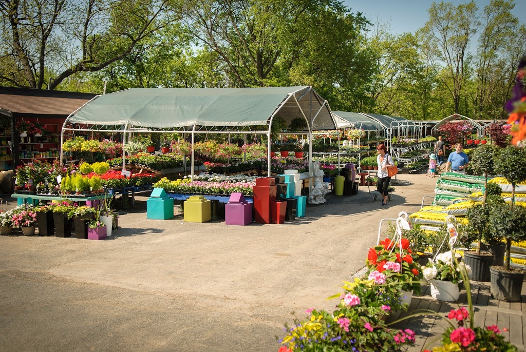 Down 2 Earth Garden Centre | 158 Park Lawn Rd, Etobicoke, ON M8Y 3H8, Canada | Phone: (416) 259-8291